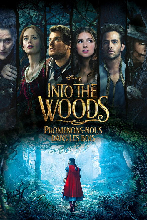 Poster de Into the Woods