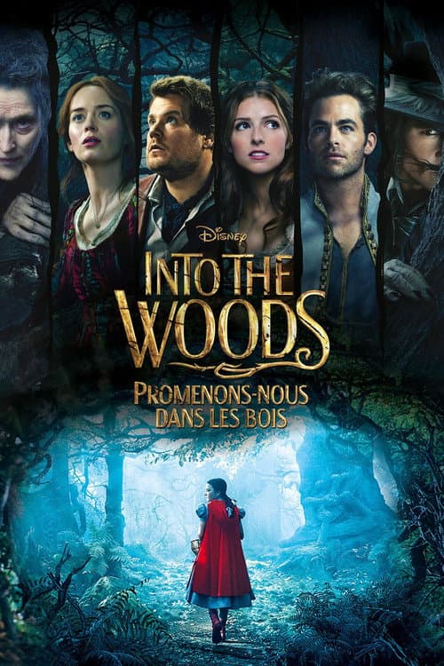 Poster de Into the Woods